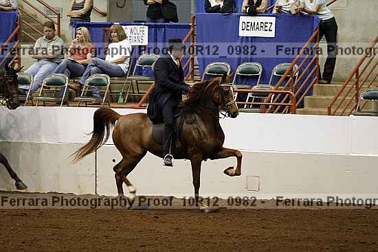 Proof Number 10r12_0982