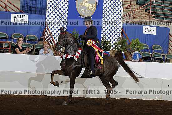 Proof Number 10r12_1005