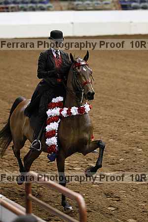 Proof Number 10r12_1010