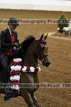 Proof Number 10r12_1011