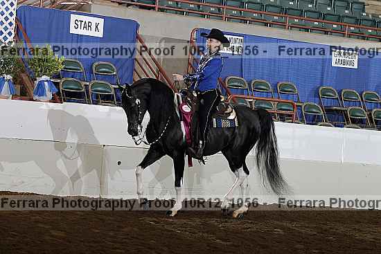 Proof Number 10r12_1056