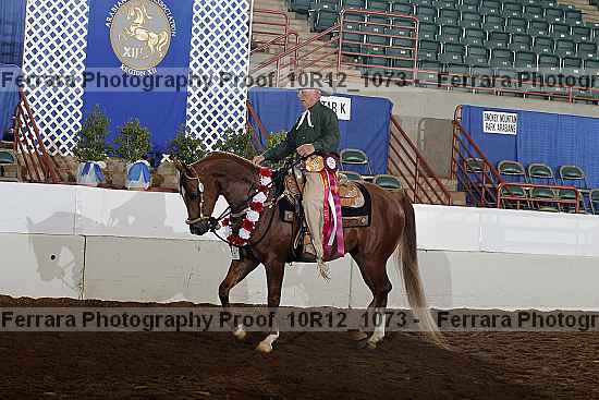 Proof Number 10r12_1073