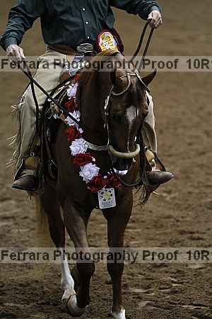 Proof Number 10r12_1075