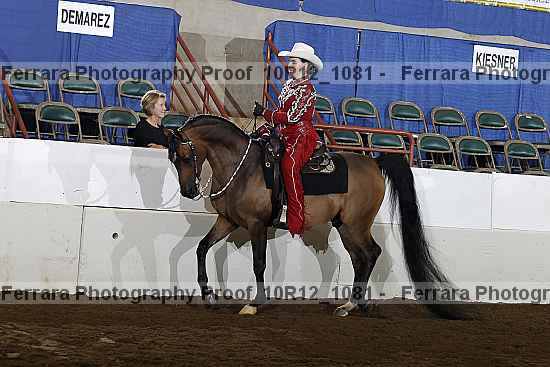 Proof Number 10r12_1081