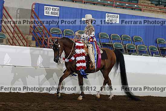 Proof Number 10r12_1105