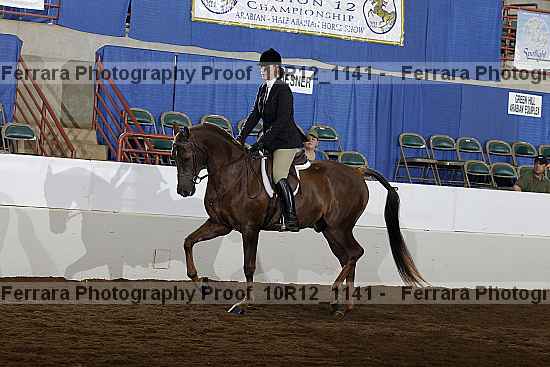 Proof Number 10r12_1141