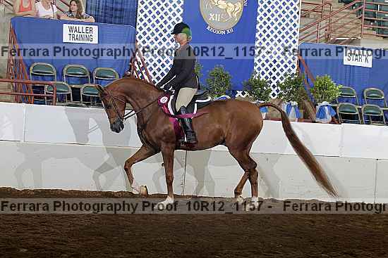 Proof Number 10r12_1157