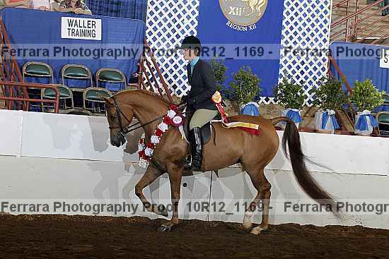 Proof Number 10r12_1169