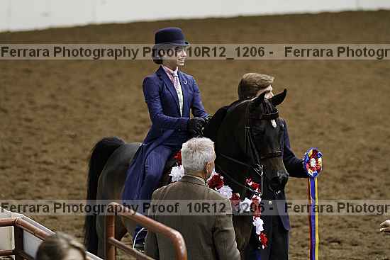 Proof Number 10r12_1206