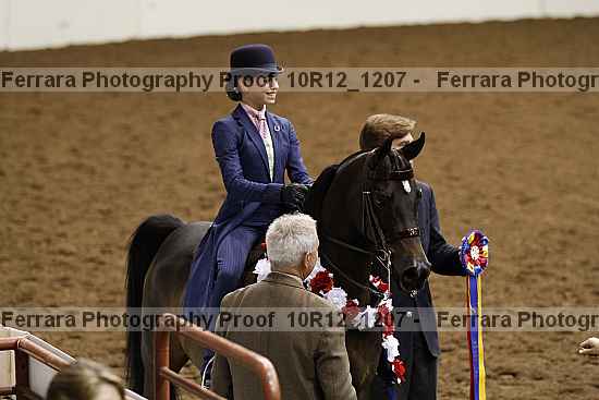 Proof Number 10r12_1207