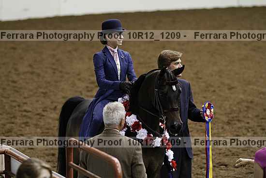 Proof Number 10r12_1209