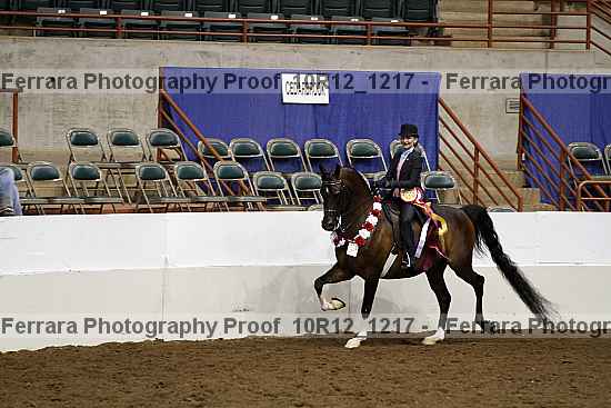 Proof Number 10r12_1217