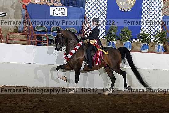 Proof Number 10r12_1222