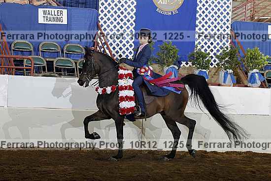 Proof Number 10r12_1225