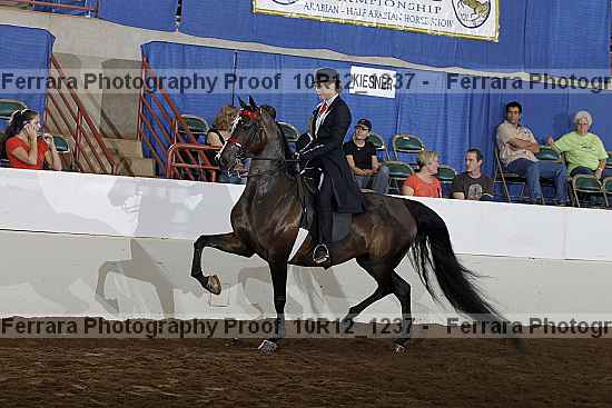 Proof Number 10r12_1237