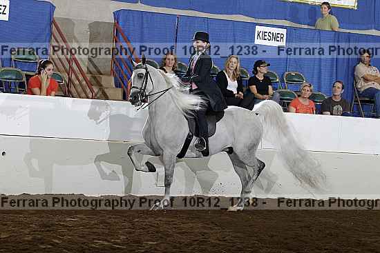 Proof Number 10r12_1238