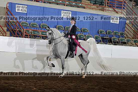 Proof Number 10r12_1252