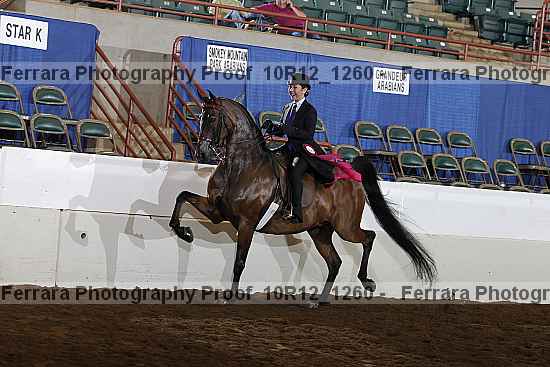 Proof Number 10r12_1260