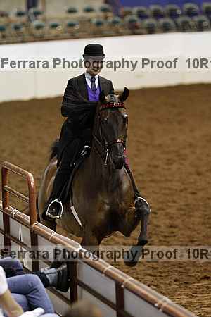 Proof Number 10r12_1261