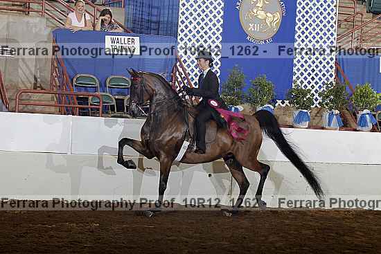 Proof Number 10r12_1262