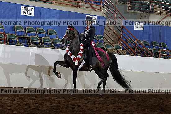 Proof Number 10r12_1266
