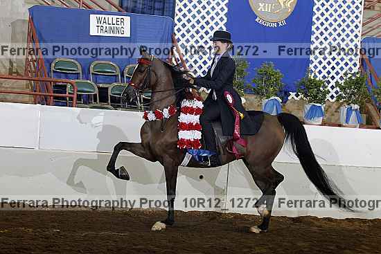 Proof Number 10r12_1272