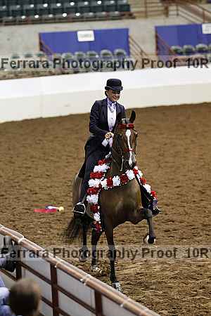 Proof Number 10r12_1273