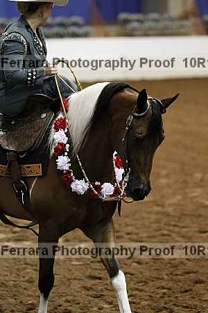 Proof Number 10r12_1295