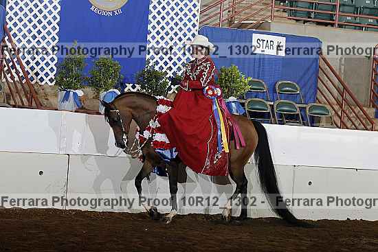 Proof Number 10r12_1302