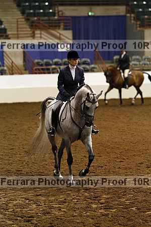 Proof Number 10r12_1313