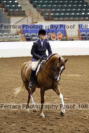 Proof Number 10r12_1335