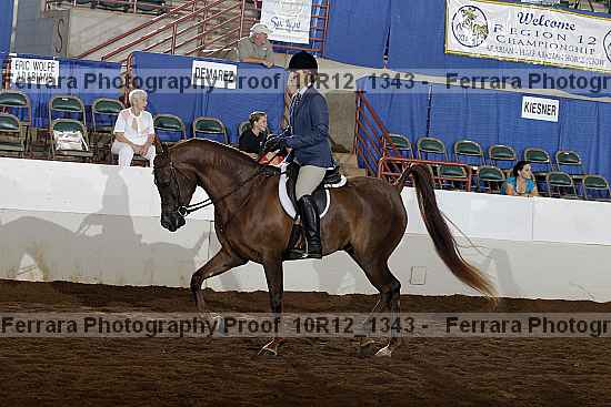 Proof Number 10r12_1343