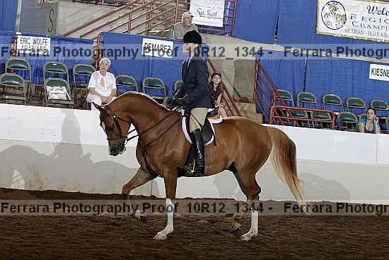 Proof Number 10r12_1344