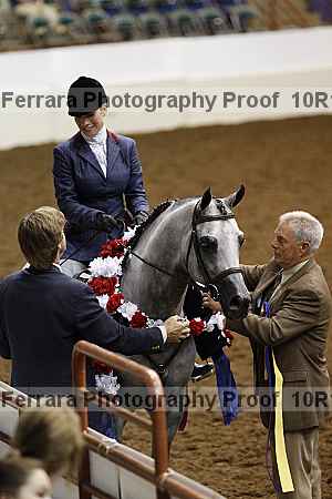Proof Number 10r12_1353