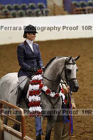 Proof Number 10r12_1358