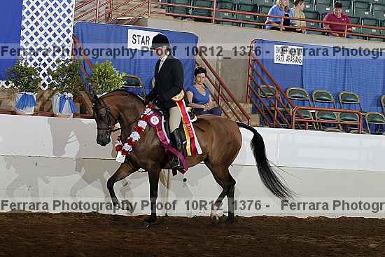 Proof Number 10r12_1376