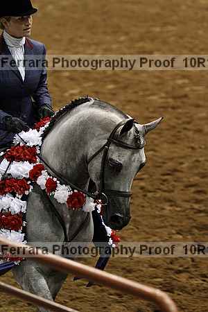 Proof Number 10r12_1381
