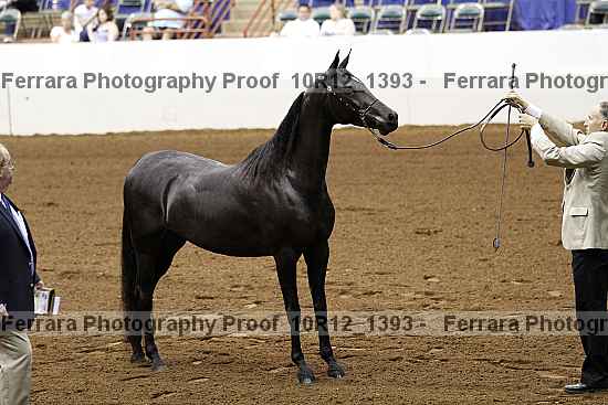 Proof Number 10r12_1393