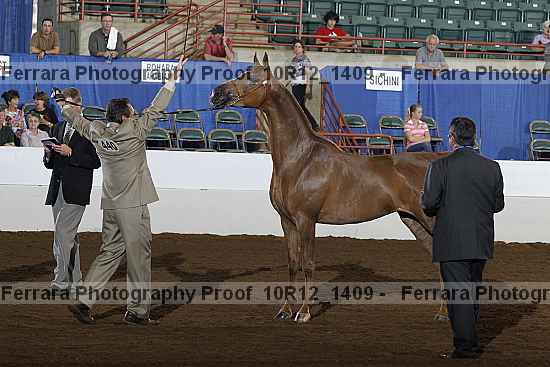 Proof Number 10r12_1409