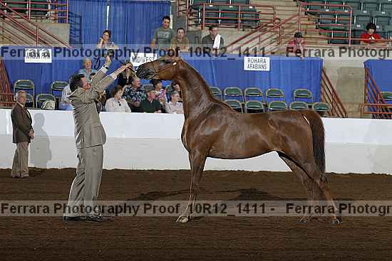 Proof Number 10r12_1411