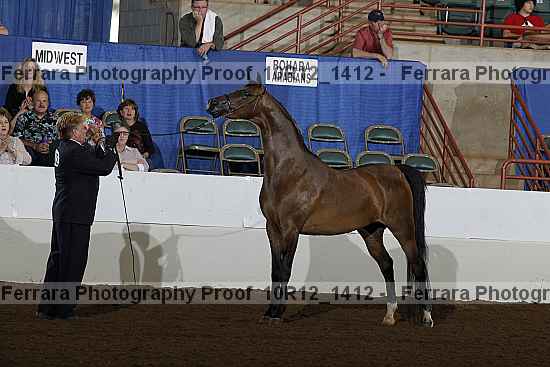 Proof Number 10r12_1412