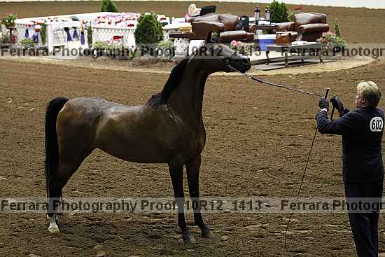Proof Number 10r12_1413