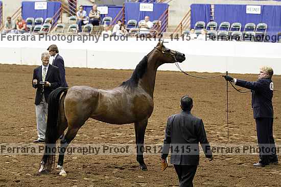 Proof Number 10r12_1415