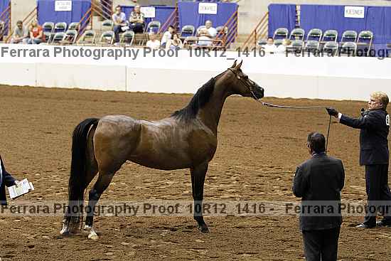 Proof Number 10r12_1416
