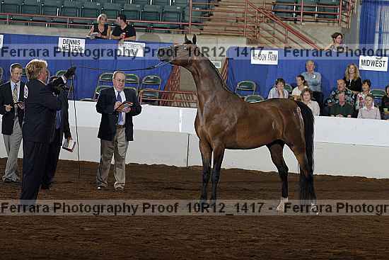 Proof Number 10r12_1417