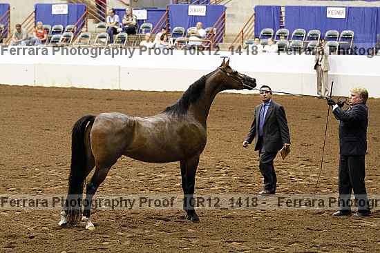 Proof Number 10r12_1418