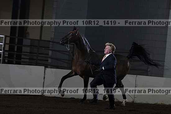 Proof Number 10r12_1419