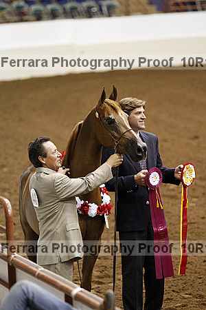 Proof Number 10r12_1426