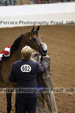 Proof Number 10r12_1430