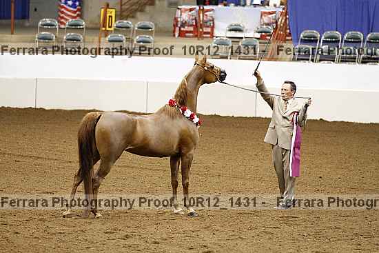Proof Number 10r12_1431